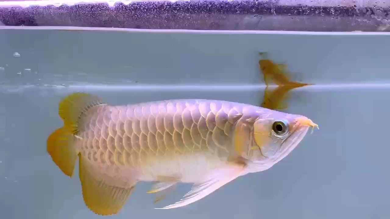 周五愉快