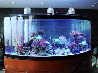 大家都用什么擦魚缸內壁：如何清洗魚缸內壁