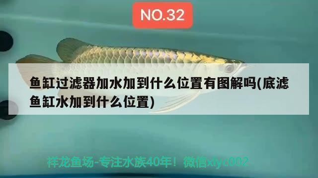 綏化二手魚缸市場在哪兒呀（綏化二手魚缸市場在哪兒呀多少錢）