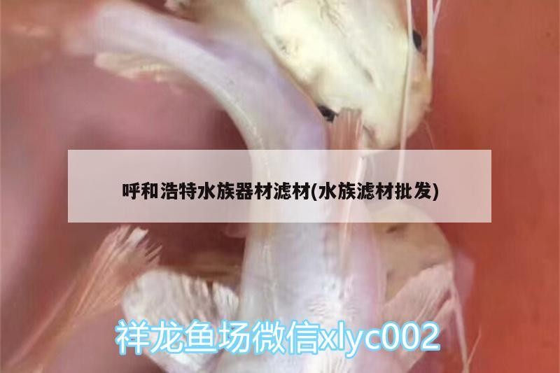 呼和浩特<strong><mark>水族器材</mark></strong>濾材(水族濾材批發)