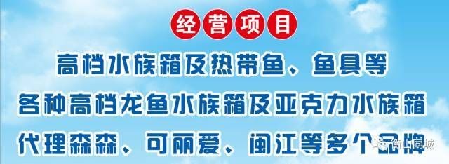 閩江水族和森森：閩江水族和森森各有其優勢和劣勢 閩江水族和森森：閩江水族和森森各有其優勢和劣勢 森森魚缸