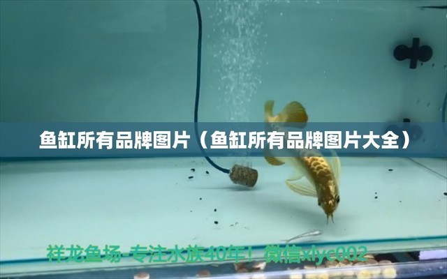 遂寧魚缸批發在哪兒進貨便宜（遂寧魚缸批發在哪兒進貨便宜點）