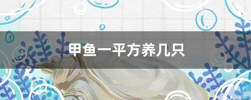 甲魚一平方養幾只