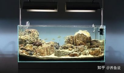 森森品牌怎么樣（森森牌子怎么樣）