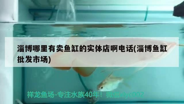 淄博哪里有賣魚缸的實(shí)體店啊電話(淄博魚缸批發(fā)市場(chǎng))