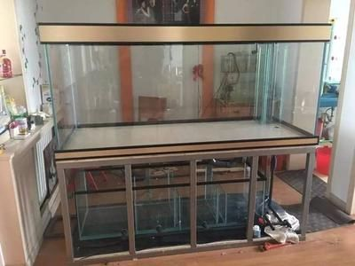 大型魚缸氧氣怎樣安裝視頻：大型魚缸氧氣泵安裝步驟和注意事項