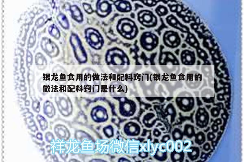 銀龍魚食用的做法和配料竅門(銀龍魚食用的做法和配料竅門是什么)