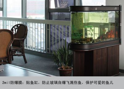 玻璃魚缸會自爆嗎為什么：玻璃魚缸自爆原因及預防措施魚缸爆裂原因及預防措施