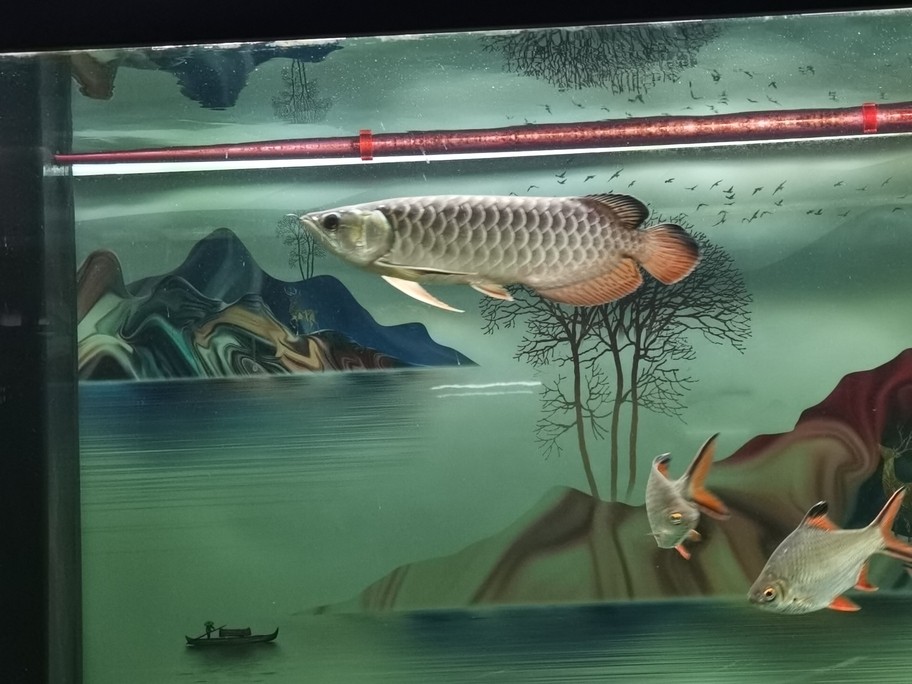 記錄你的成長(zhǎng)