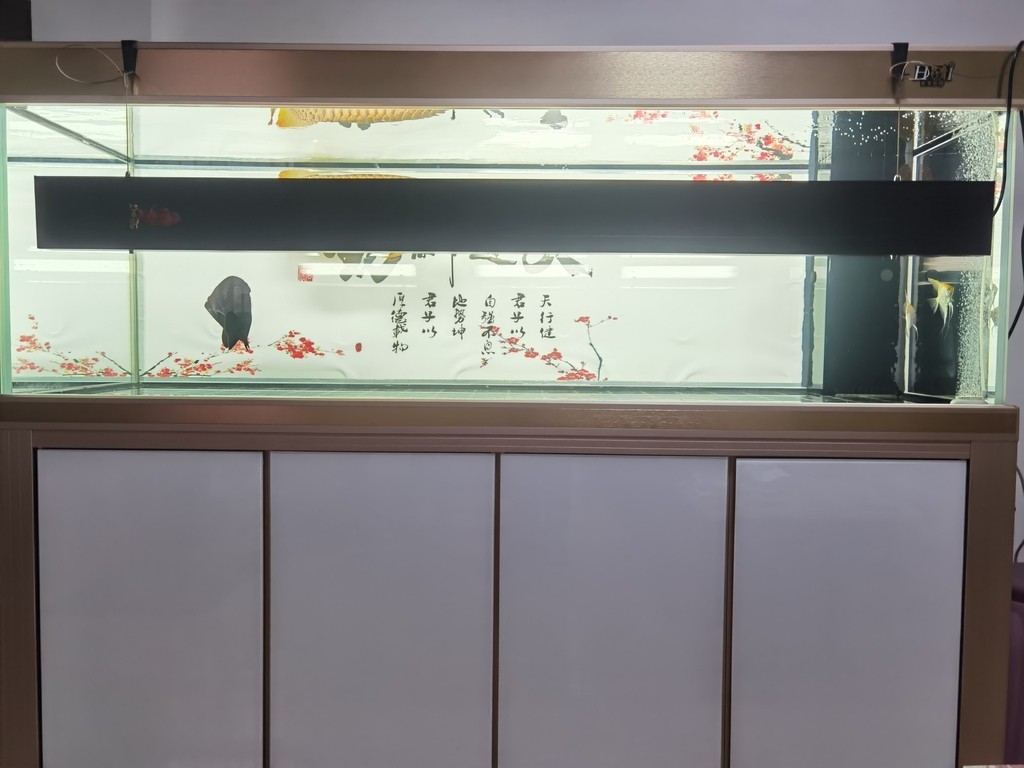 上側(cè)燈