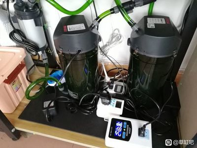 臭氧機對魚缸有作用嗎：臭氧機在魚缸中的作用