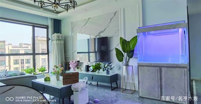 林甸縣清清水族花卉商店（林甸清水臺洗浴電話）