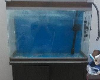 大蘇打魚缸怎么用好看：大蘇打在魚缸中有哪些用途，魚缸造景技巧魚缸造景技巧
