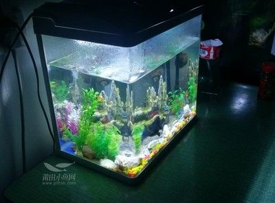 幫小魚找魚缸：小魚的故事早教動畫：小魚的故事