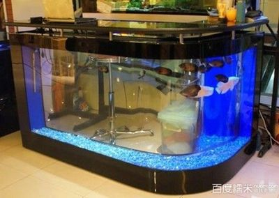徹底清洗魚缸用什么好：清洗魚缸的方法