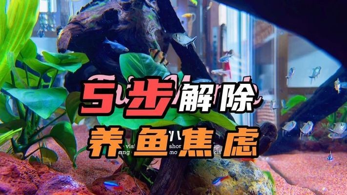 森森HSD-300桌面小魚缸（森森h(huán)e一480桌面小魚缸）