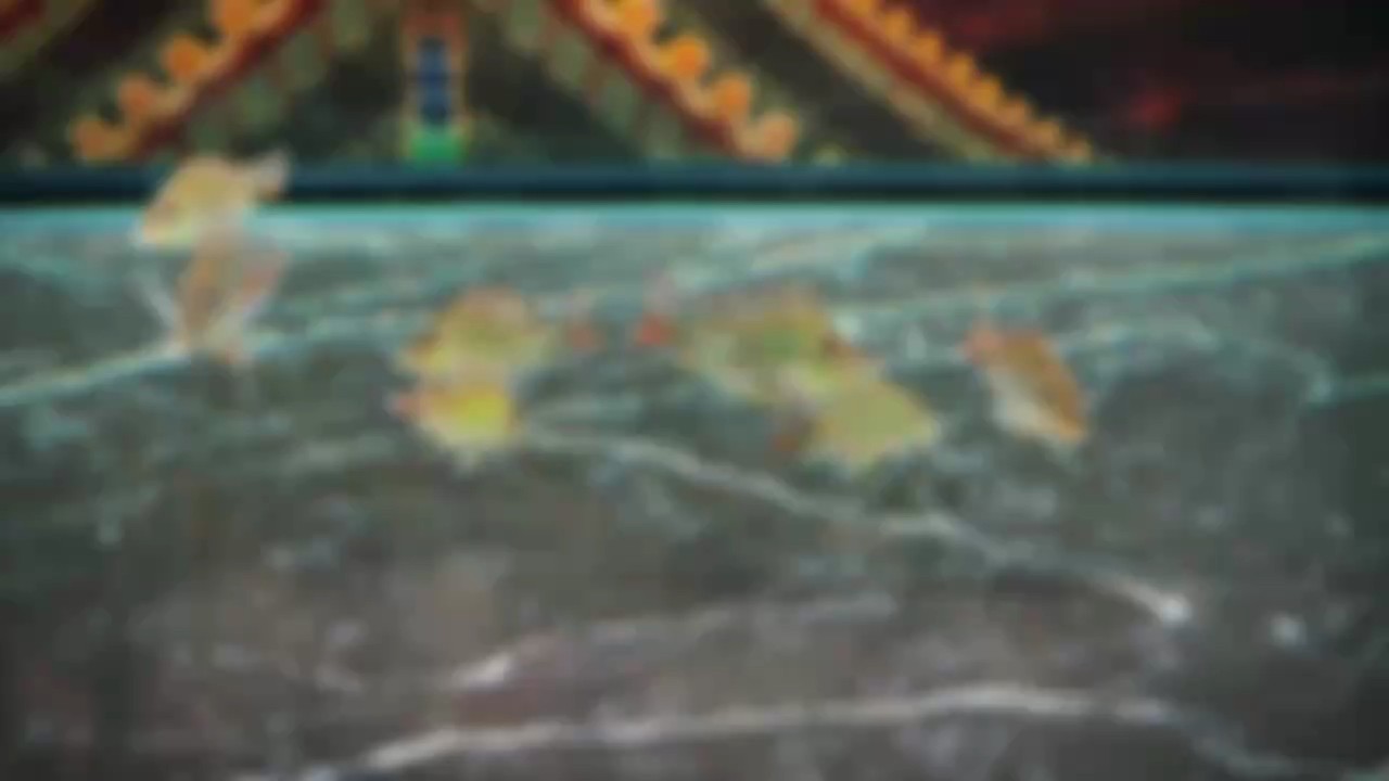 元寶鳳凰，龍魚的高端配魚