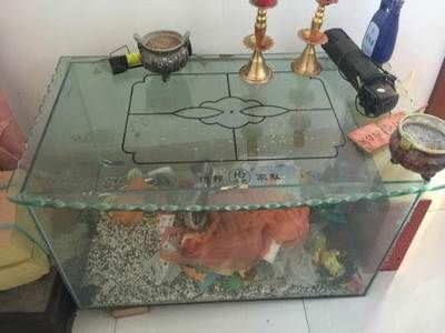 鄲城賣魚缸的地方在哪里：周口市鄲城縣賣魚缸的地方
