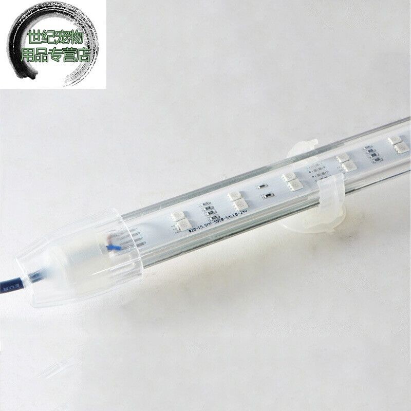 紅龍魚要用什么燈管好：紅龍魚幼年期如何選燈