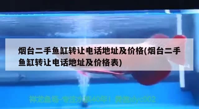 紅龍魚(yú)出售或轉(zhuǎn)讓信息：關(guān)于紅龍魚(yú)出售或轉(zhuǎn)讓的信息