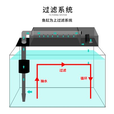 半圓柱魚缸過濾系統圖：半圓柱魚缸過濾系統圖解