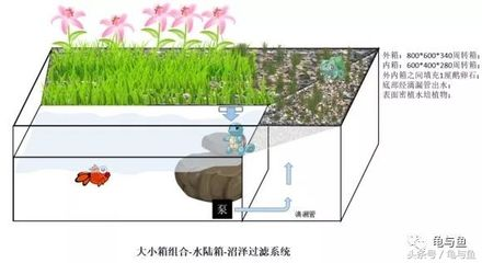 不用電的魚缸過濾水系統：尋找不用電的魚缸過濾水系統時可以參考以下幾種方法