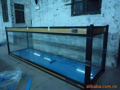玻璃魚缸為什么這么貴：玻璃魚缸價格受多種因素影響，包括材料成本、運輸成本等