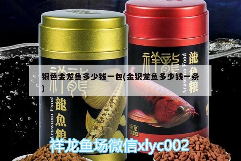 銀色金龍魚多少錢一包(金銀龍魚多少錢一條)