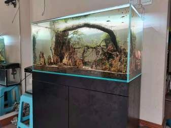 搬運魚缸用什么工具比較好看：搬魚缸工具推薦