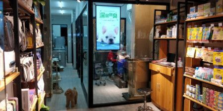 大瀝哪里有魚缸買賣店呢：佛山市南海區大瀝鎮多家店鋪提供魚缸買賣服務