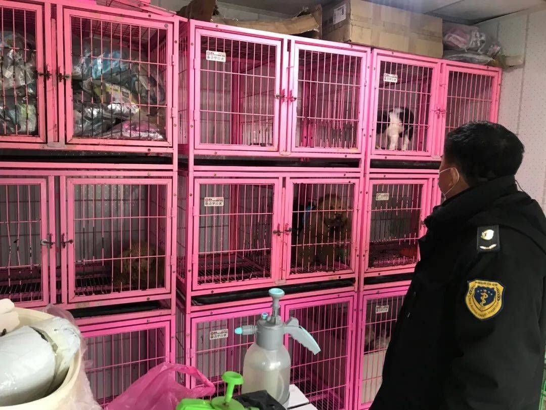 大瀝哪里有魚缸買賣店呢：佛山市南海區大瀝鎮多家店鋪提供魚缸買賣服務