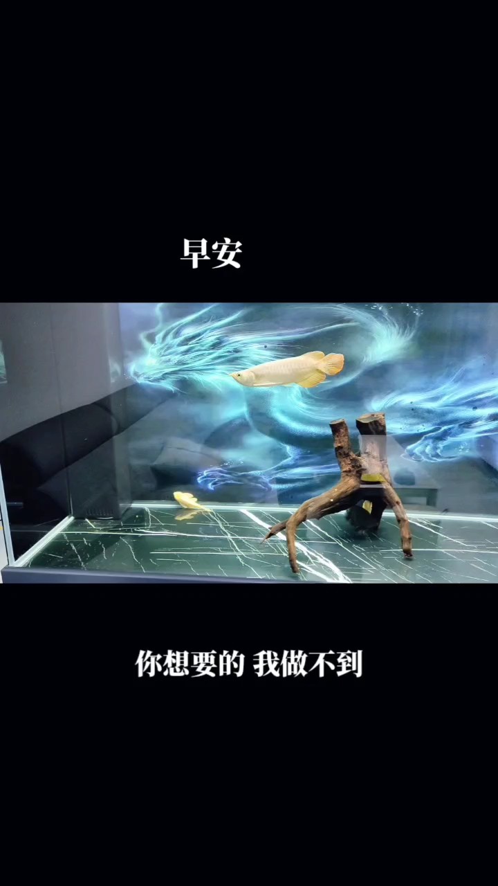 不間斷打卡