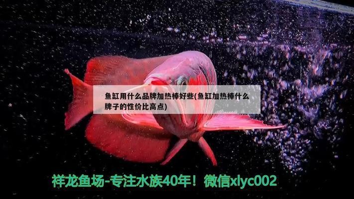森森小鯉魚缸過濾器安裝視頻（森森魚缸內置過濾器安裝視頻）