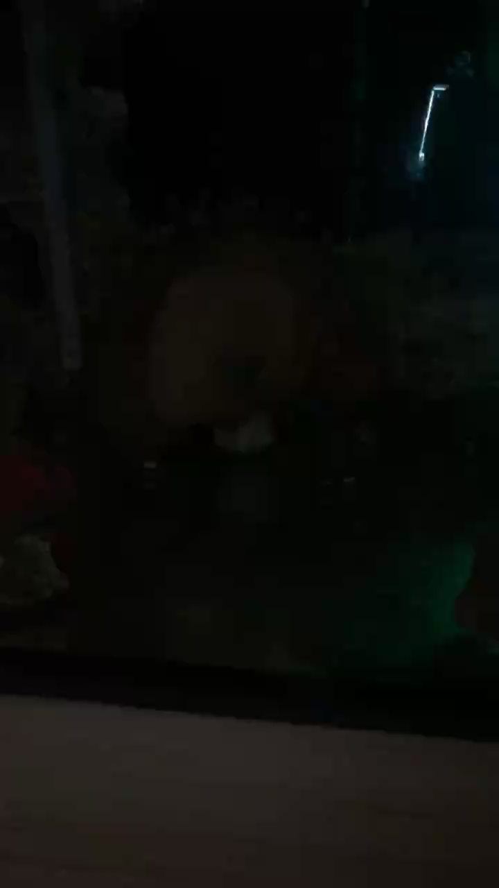 我看看奶嘴海葵想往拿跑