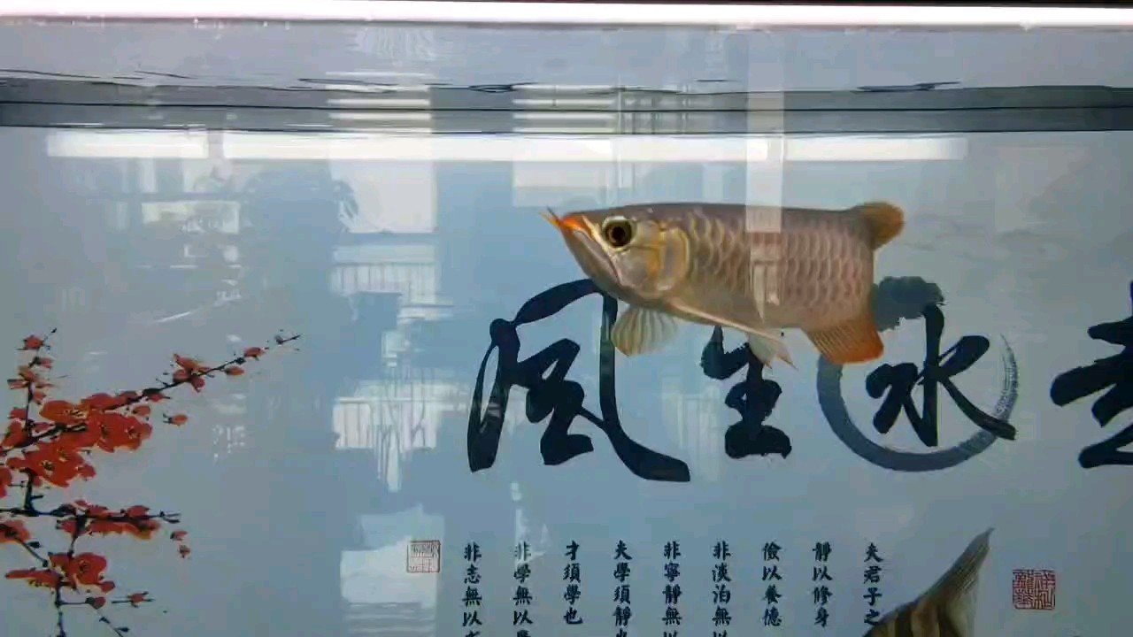 打個卡！