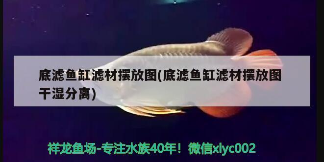 吃飽不吃了