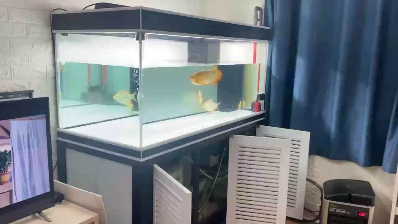 10-11換水