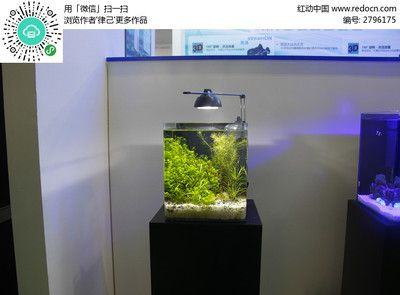 超白魚缸分幾種顏色：超白魚缸的種類和特點