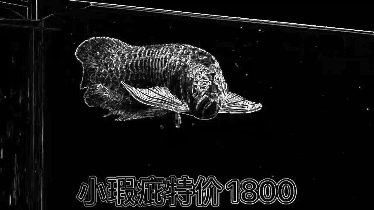 喜歡瑕疵的價格和質量