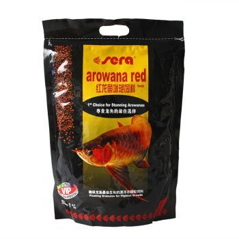 紅龍魚(yú)需要添加維生素嗎為什么