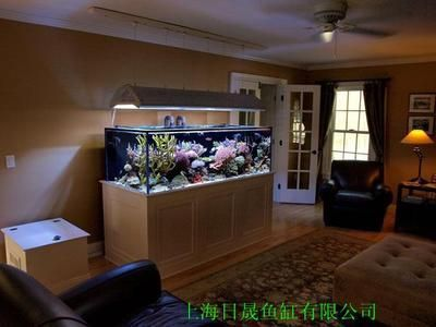 養龍魚的魚缸怎么造景