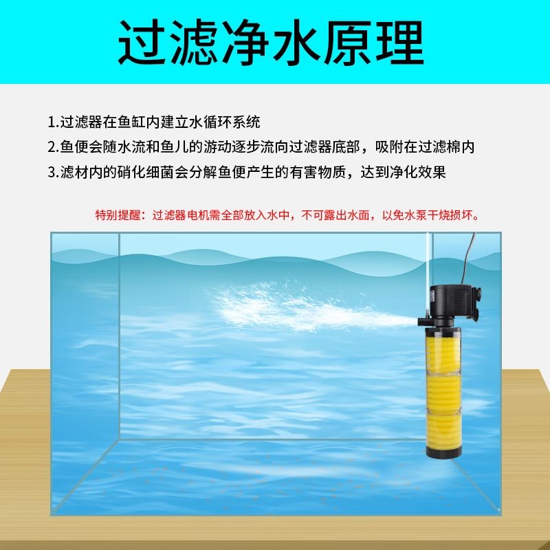 帶循環泵的魚缸多久換水：帶循環泵的魚缸一般多久換一次水 帶循環泵的魚缸多久換水：帶循環泵的魚缸一般多久換一次水 魚缸百科 第1張