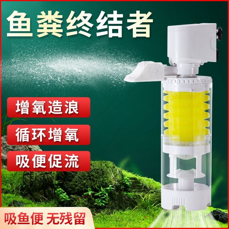 帶循環泵的魚缸多久換水：帶循環泵的魚缸一般多久換一次水 帶循環泵的魚缸多久換水：帶循環泵的魚缸一般多久換一次水 魚缸百科 第2張