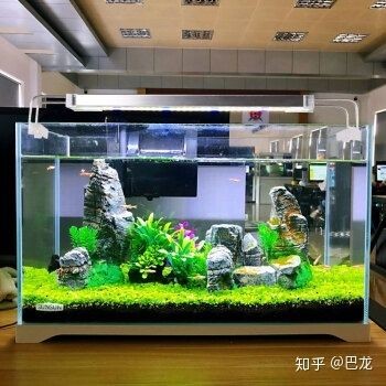 森森官方旗艦店魚缸：森森官方旗艦店售賣森森品牌魚缸及相關產(chǎn)品的關鍵信息