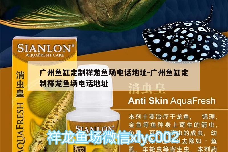 廣州魚缸定制祥龍魚場電話地址:廣州魚缸定制祥龍魚場電話地址