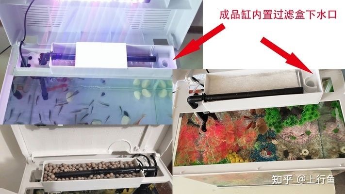 成品魚缸怎樣改造好看：成品魚缸改造之主題設(shè)計