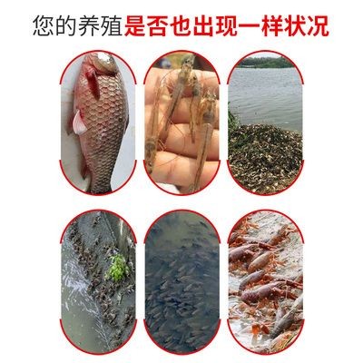 超市用水產養殖魚缸好嗎