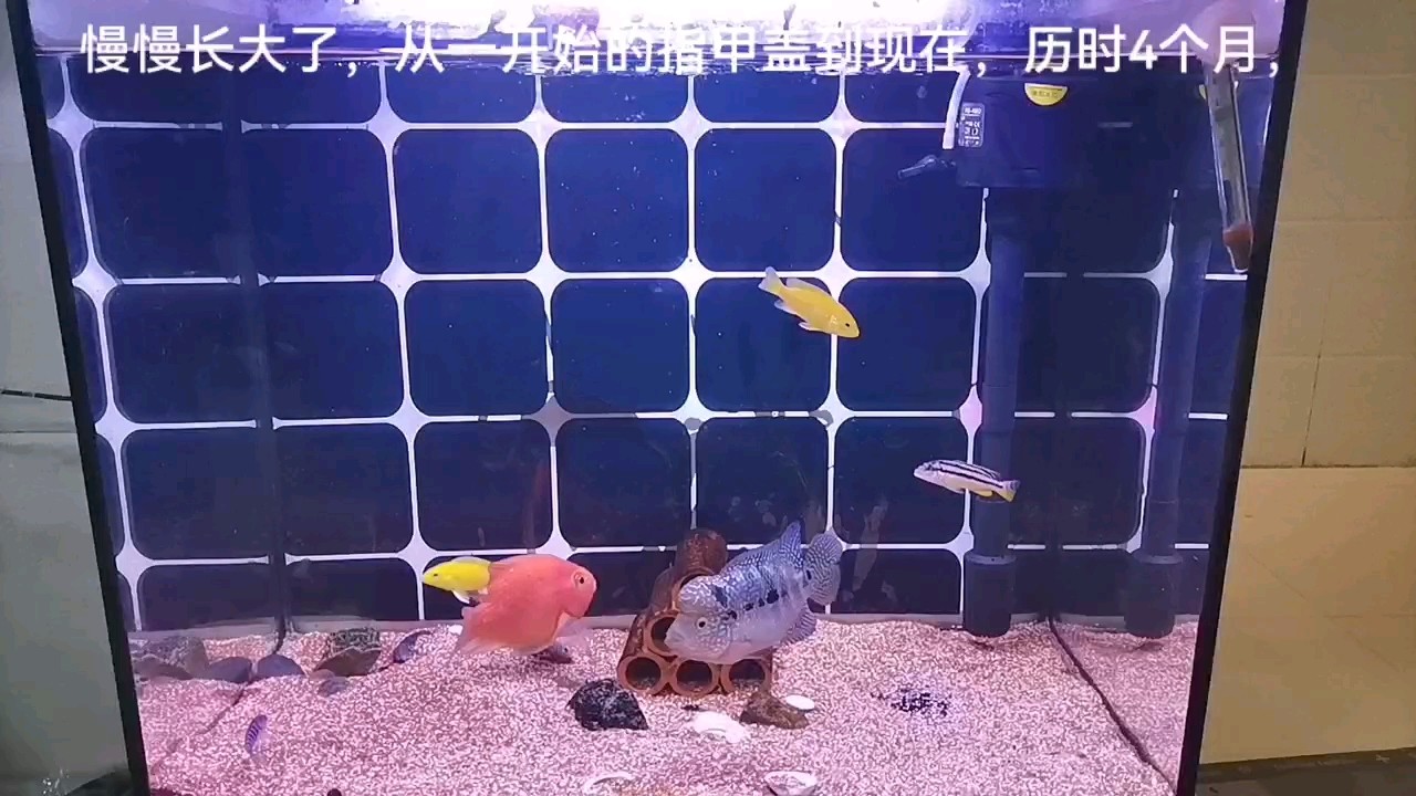 4個月了