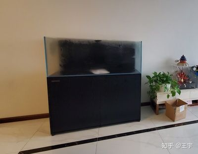 玻璃魚缸如何拆卸視頻
