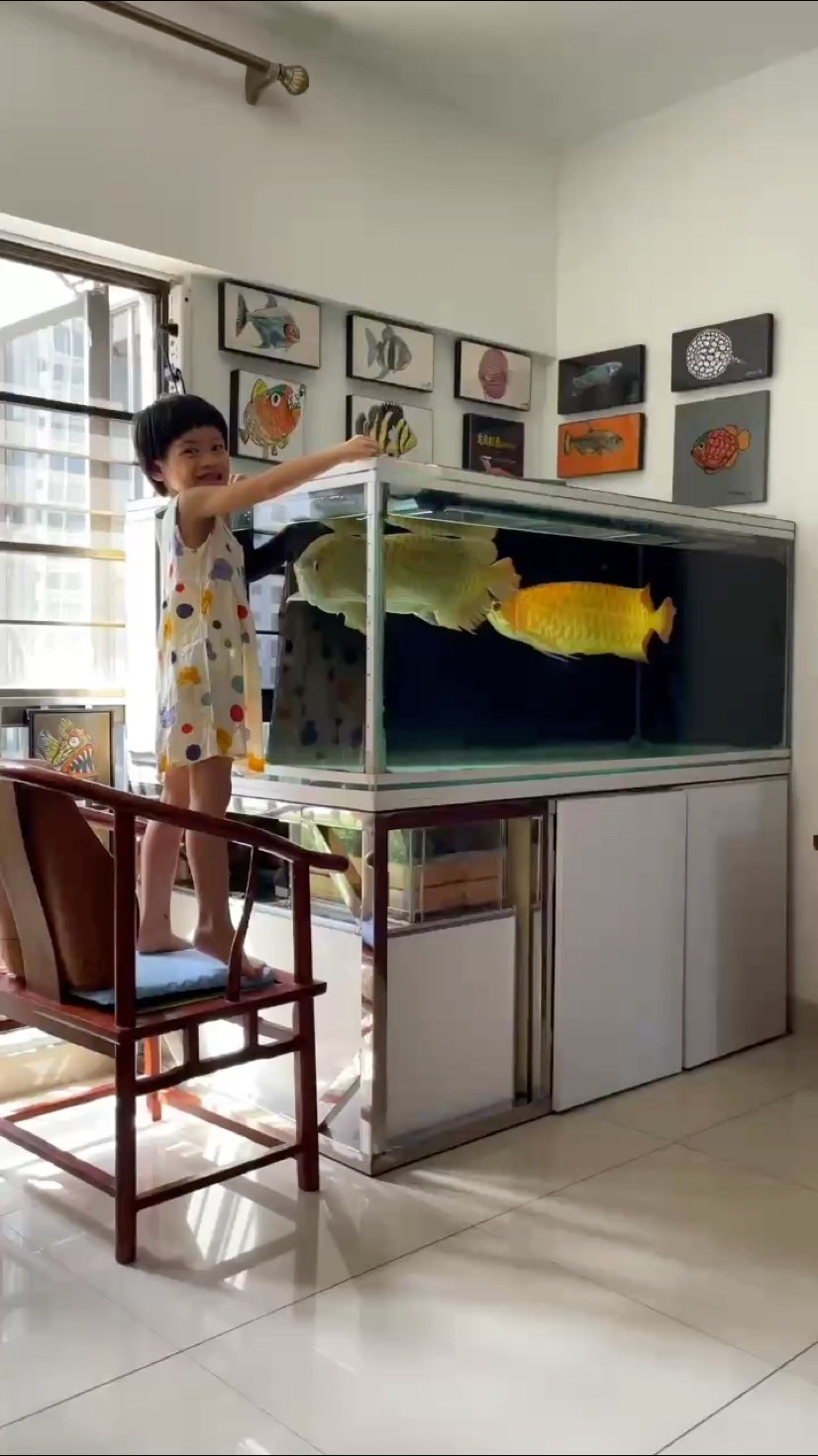 我喜歡治本的養魚方法，你呢？